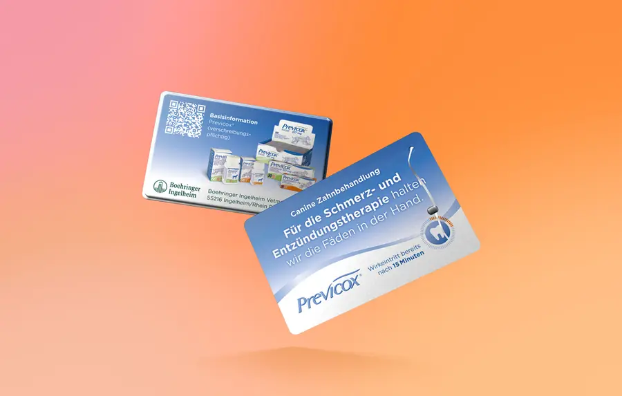 Floss Cards Beispiel — 2K Promotions